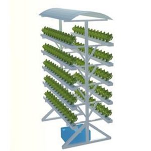 Kệ trồng cây đứng 5 tầng có mái che