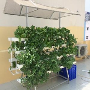 Kệ trồng rau chữ A có mái che
